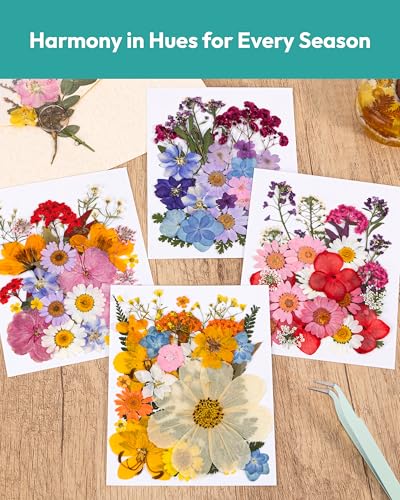 Dried Flowers, Resiners 100Pcs Pressed Flowers for Craft Real Natural Dried Flowers Dry Leaves Kit for DIY Making Crafts Resin Soap Candle Scrapbook Supplies Card Making Jewelry - color: Brilliant 100pcs