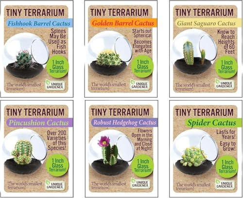 Unique Gardener Tiny Terrarium Plant Seeds 6 Variety Cacti Pack, DIY Indoor Succulents and Live Plants for Home or Garden Planting, Assorted Cacti Pack - style: 6 Pack Cacti - Assorted