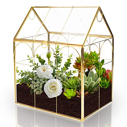 Geometric Plant Terrarium with Lid, House Succulent Terrarium Kit - color: Gold