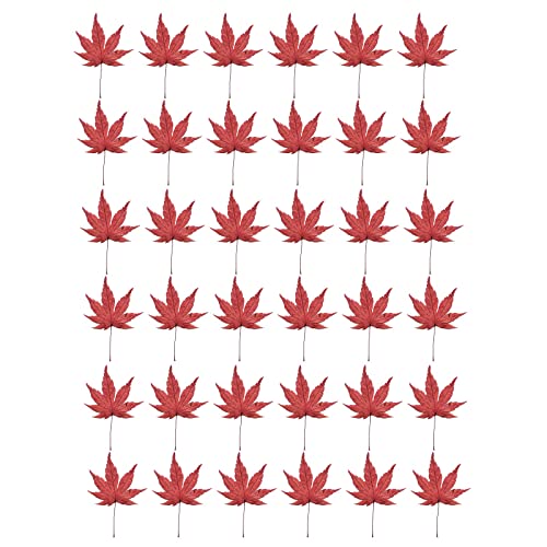 36Pcs Real Dried Maple Leaves,Natural Dried Pressed Maple Leaves - color: Red
