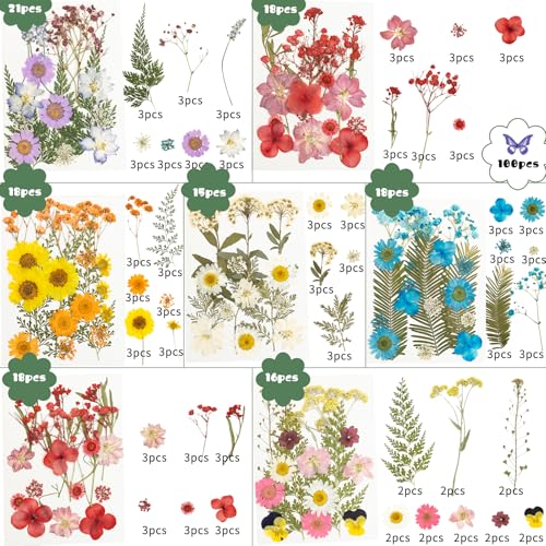 203 Pcs Dried Pressed Flowers for Resin Crafts, Real Natural Pressed Flowers and Leaves Kit Butterfly Stickers Vacuum Sealed Dry Flowers for DIY Epoxy Resin Jewelry Molds, Candle Soap Making, Nail Art - color: Sapphire 203pcs