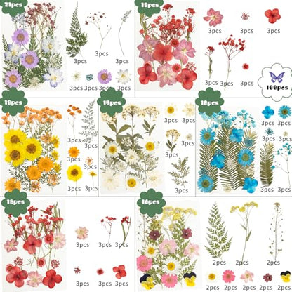 203 Pcs Dried Pressed Flowers for Resin Crafts, Real Natural Pressed Flowers and Leaves Kit Butterfly Stickers Vacuum Sealed Dry Flowers for DIY Epoxy Resin Jewelry Molds, Candle Soap Making, Nail Art - color: Sapphire 203pcs