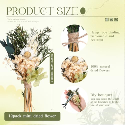 Layhit 12 Pcs Mini Dried Flower Bouquet Boho for Wedding,Fresh | Rustic Boutonniere Bridesmaid Gifts,Handmade Dry Flowers Decor, Bulk Dried Flowers in Vase, DIY Crafts Home Decor - style: Eucalyptus