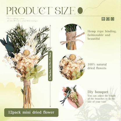 Layhit 12 Pcs Mini Dried Flower Bouquet Boho for Wedding,Fresh | Rustic Boutonniere Bridesmaid Gifts,Handmade Dry Flowers Decor, Bulk Dried Flowers in Vase, DIY Crafts Home Decor - style: Eucalyptus