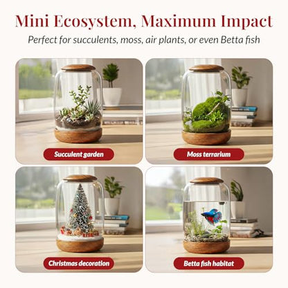 Exclusive Glass Terrarium with Natural Wood Lid and Base, Excellent for Plants and Decoration for Home or Office, Size: 8.7" Tall (22 cm) by 6.3" Wide (16 cm)