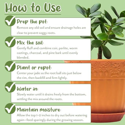 Soil Sunrise Jade Plant Potting Soil Mix (8 Quarts) Hand Blended Additive for Jade Succulents