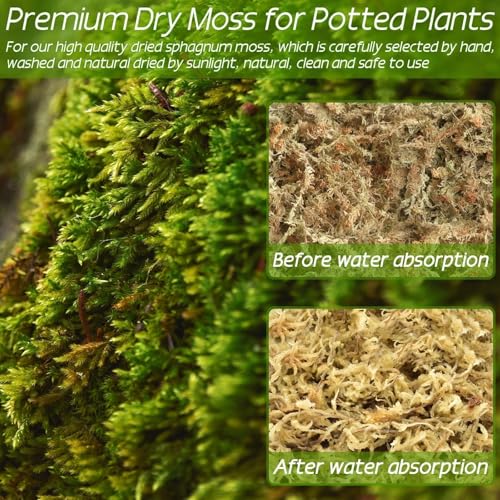 2.2 lb Premium Sphagnum Moss Bulk, Natural Long Fiber Orchid Sphagnum Peat Moss for Carnivorous Plants Succulent Monstera Indoor Outdoor Plants & Reptiles Terrariums Habitats(Expands to 40 qt) - size: 2.2 pounds