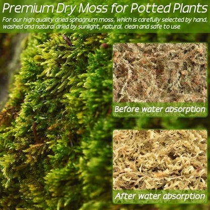 ZeeDix 2.2 lb Premium Sphagnum Moss Bulk, Natural Long Fiber Orchid Sphagnum Peat Moss for Carnivorous Plants Succulent Monstera Indoor Outdoor Plants & Reptiles Terrariums Habitats(Expands to 40 qt) - size: 2.2 pounds