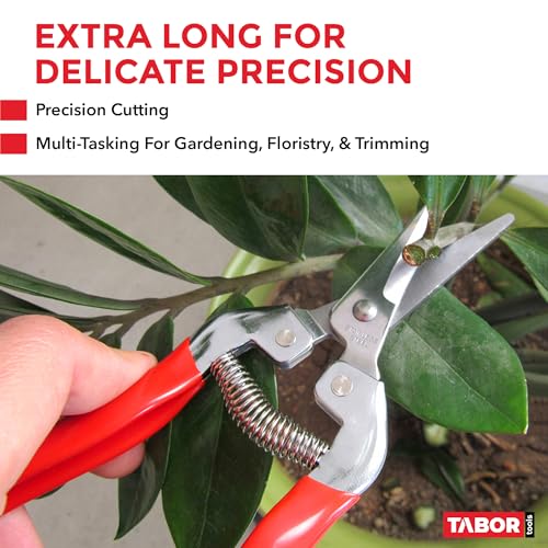 TABOR TOOLS K17A Pruning Snips – 7.5" – Stainless Steel Flower Pruning Scissors for Gardening | Floral Snips and Pruners for Deadheading, Trimming & Harvesting Herbs, Flowers, Fruits or Vegetables - style: K17A Florist Scissors