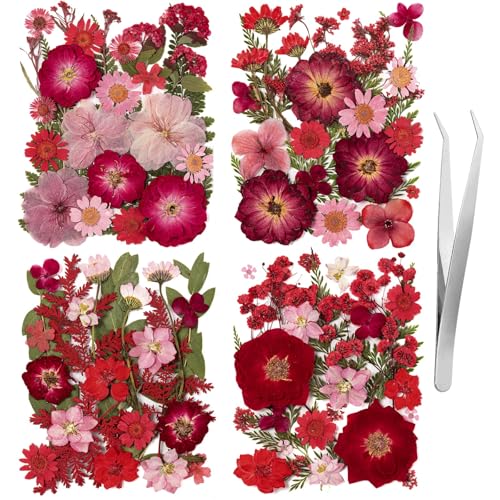 101 PCS Red Dried Pressed Flowers for Christmas Crafts Resin, Red Real Nature Flowers Bulk for DIY Holiday Cake Card Scrapbook Supplies, Large Dried Flowers for Soap Candle Making - size: Red 101pcs