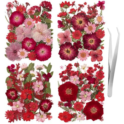 101 PCS Red Dried Pressed Flowers for Christmas Crafts Resin, Red Real Nature Flowers Bulk for DIY Holiday Cake Card Scrapbook Supplies, Large Dried Flowers for Soap Candle Making - size: Red 101pcs