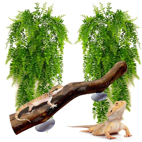 kathson Reptile Corner Branch Climbing Wood & Hanging Fake Plants,1 Reptile Branches & 2 Terrarium Plastic Plant, Bearded Dragons Tank Decor for Amphibians, Lizards, Geckos, Snakes, Frogs, Hermit Crab