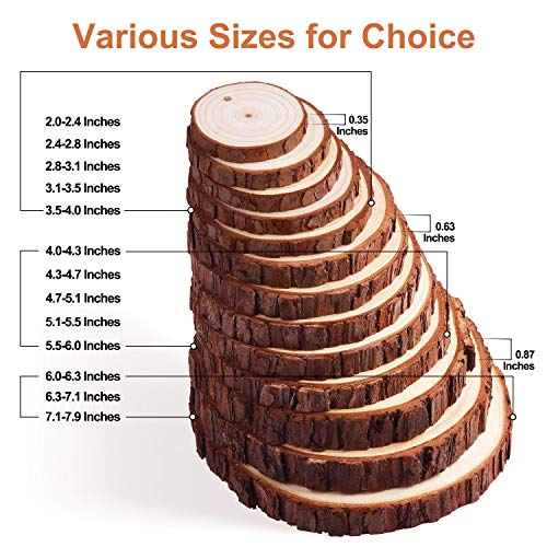 Fuyit Large Unfinished Wood Slices, Natural Wooden Discs with Barks | 8pcs 5.5-6 inch Rounds, Rustic Centerpiece Base, Wedding & Table decor, Painting & Lettering DIY Crafts - size: 5.5-6 Inches