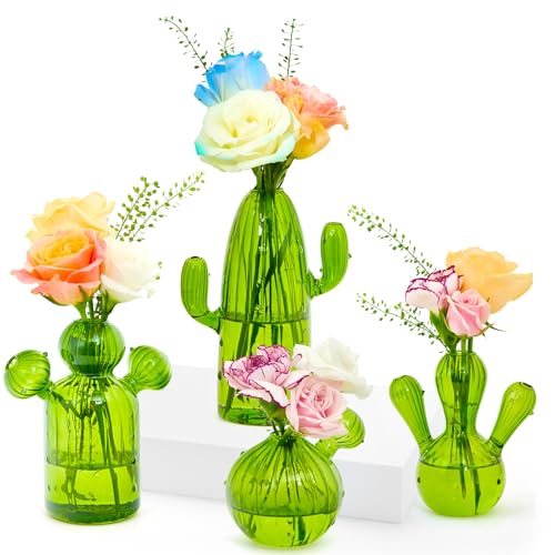 XXXFLOWER Cactus Plant Propagation Station 4 Cactus Vase Terrarium Jars - size: 4PCS Cactus Vase