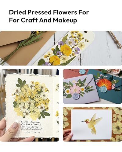 Dried Flowers, Resiners 100Pcs Pressed Flowers for Craft Real Natural Dried Flowers Dry Leaves Kit for DIY Making Crafts Resin Soap Candle Scrapbook Supplies Jewelry Making - color: Warm Color 100pcs