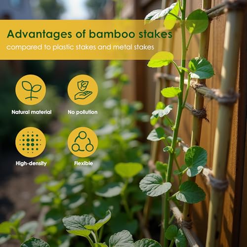 Cambaverd Bamboo Stakes 3ft, 50 Pack Garden Stakes, Bamboo Sticks for Plant | Natural Plant Stakes for Tomatoes, Potted and Climbing Plant Support, Sturdy Bamboo Garden Stakes 3 Feet - size: 36 Inch