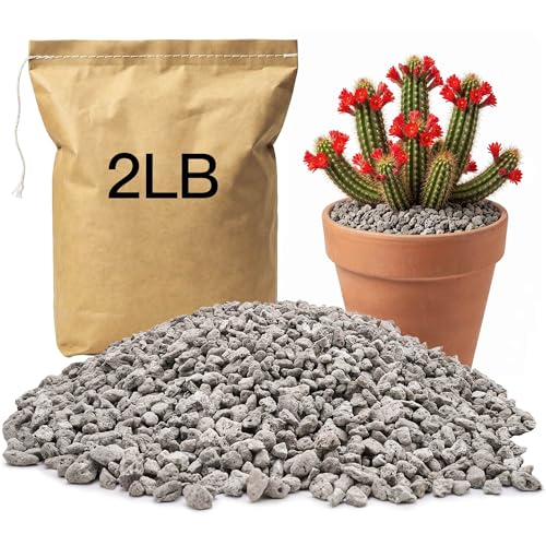 NIPUCK 1/4" 2LB Pumice for Plants Indoor, Succulent, Cactus, Landscaping | Horticultural Pumice for Bonsai Mix Soil Amendments, Natural Drainage Rocks for Potted Plants, Orchid, Small Stone for Garden - size: 2lb
