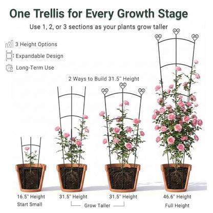 46.6" Tall Plant Trellis for Climbing Plants Indoor Outdoor, Durable Metal Trellis for Potted Plants, Adjustable Climbing Plant Support for Vines, Clematis, Morning Glories, Ivy, Black, 2 Pack