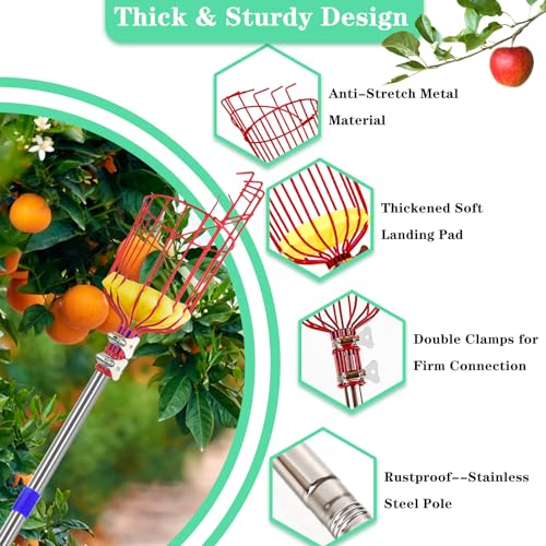 Qiullen 13 FT Extendable Fruit Picker Pole Tool Adjustable Long Handle Fruit Picker Metal Basket Fruit Grabber Tool with Protective Foam Pad Stainless Steel Garden Picker Tool for Apple Mango Lemon