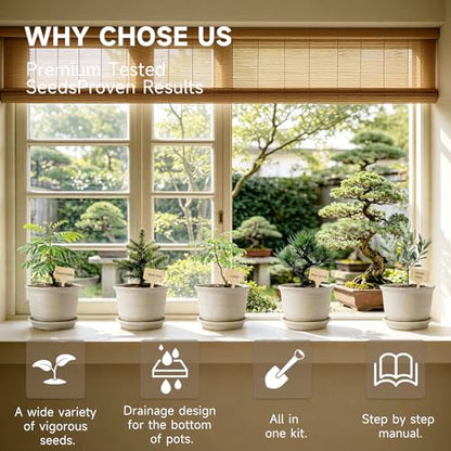 Bonsai Tree Starter Kit – 8 Varieties Indoor Bonsai Trees Plant Seeds with Drainage Design Pots, Gardening Gifts for Women, High-Value Plant Gifts