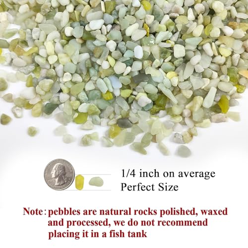 FANTIAN Jade Pebbles for Indoor Plants,1/4 Inch (3-6 MM) Polished Green Pea Gravel Small Rocks for Plants, Succulents, Cactus, Vases, Terrarium - size: 1 pound, style: Jade