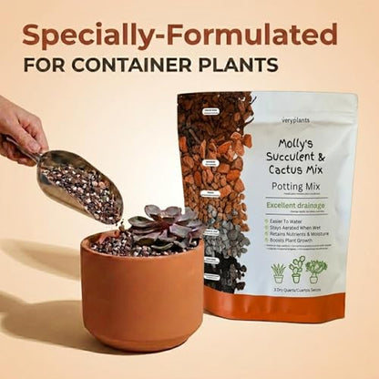 Molly's Succulent Potting Mix, Cactus and Bonsai Gritty Blend, 3 Dry Quarts - size: 3 Dry Quarts, style: Succulents & Cacti