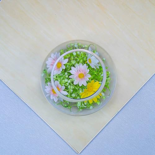 CYS EXCEL Glass Bubble Bowl (H-6" W-8", Approx. 3/4 Gal.) Small Fish Bowl Round Terrarium Vase Globe Flower Centerpiece for Weddings Events Arrangements - size: H-6" W-8"