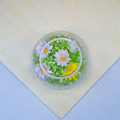CYS EXCEL Glass Bubble Bowl (H-6" W-8", Approx. 3/4 Gal.) Small Fish Bowl Round Terrarium Vase Globe Flower Centerpiece for Weddings Events Arrangements - size: H-6" W-8"