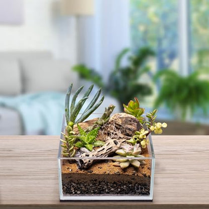 Natural Cholla Wood - Driftwood for Aquariums, Air Plant Base, Hermit Crab and Freshwater Shrimp Hideout, Fish Tank Decoration, Chinchilla Chews, Reptile Habitat Wood - 6 Inch, 5pc - size: 6 Inch, 5pc