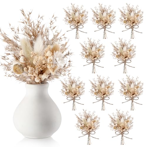 Nuanchu 12 Pcs Mini Dried Flower Bouquet 6" Natural Small Dried Flower with Stem for Birthday DIY Crafts Scrapbook Vase Boho Party Plates Cake Bridesmaid Gifts Card Envelope Decor (Boho) - style: Boho