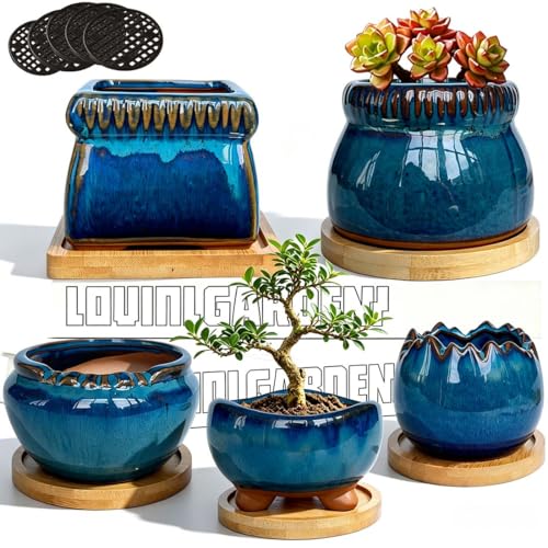 MUZHI 5PACK Glazed Bonsai Planter 3" Small Succulent Pots, RoundYixing Zisha Decorative Mame Bonsai Training Pot or Square Small Flower Cactus Starter Growing Planters Blue (5pcs Pots with Trays) - color: 5pcs Pots With Trays