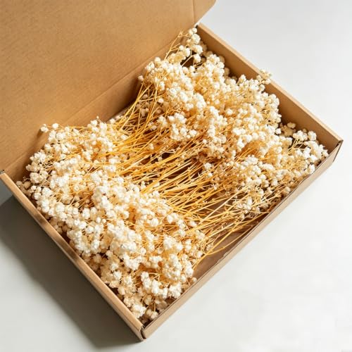 100 Pcs Dried Pressed Baby's Breath Flowers, Gypsophila Artificial Flowers, White Baby Artificial for Vase Flower Arrangement, Craft DIY, Wedding Decorations, Home, Table Centerpieces - color: Yellow Rod, White Flower