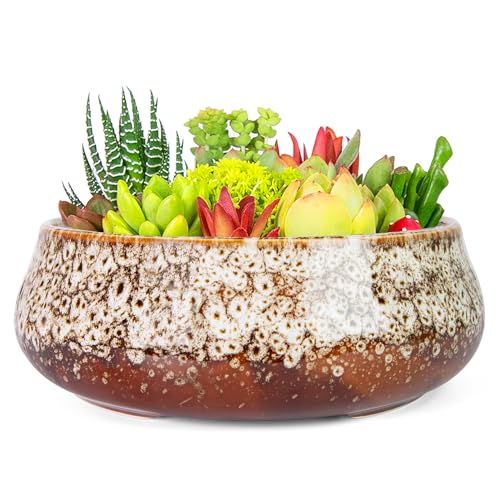 Succulent Pots, 8 Inch Large Bonsai Pots with Drainage, Ceramic Planters - color: White
