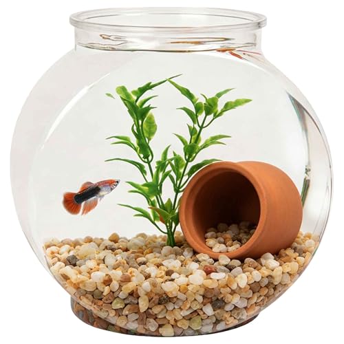 Koller Products 1-Gallon Plastic Oval Fish Bowl, Temporary Fish Tank for Betta Guppy Tetra Zebrafish Shrimp, Fry, Isolation, Fish Breeding, Classroom Education and Decoration