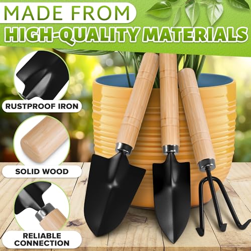 3 Pcs Mini Garden Tools, Shovel, Rake, Wooden Handles, Steel Heads | Small Gardening Tools Set, Tiny Trowel for Transplanting, Repotting and Planting, for Indoor Plants, Succulents and Bonsai - color: Black Set of 3