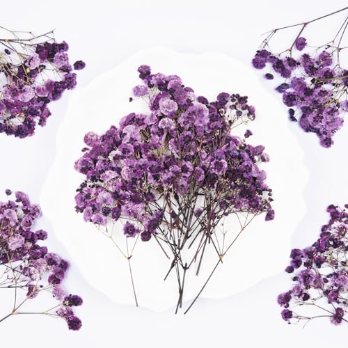 50Pcs Babys Breath Dried Pressed Flowers for Crafts,Xinxinran Purple Dry Flowers Kit for Wedding Invitation Accessories,Bookmark,Jewelry Molds,Candle Making Supplies,Soap,Frame,Cakes - color: Purple Baby's Breath