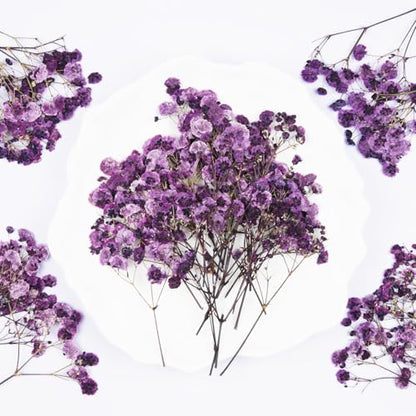 50Pcs Babys Breath Dried Pressed Flowers for Crafts,Xinxinran Purple Dry Flowers Kit for Wedding Invitation Accessories,Bookmark,Jewelry Molds,Candle Making Supplies,Soap,Frame,Cakes - color: Purple Baby's Breath