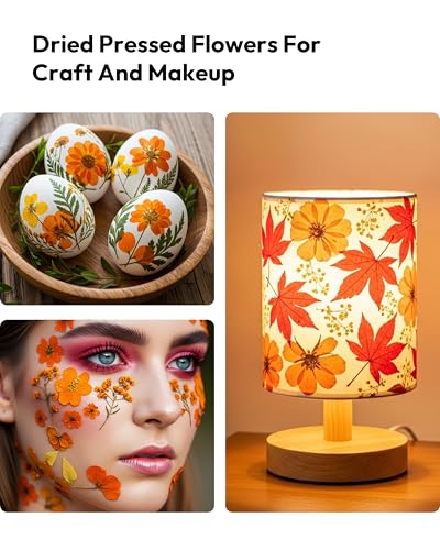 Dried Flowers, Resiners 100Pcs Pressed Flowers for Craft Real Natural Dried Flowers Dry Leaves Kit for DIY Making Crafts Resin Soap Candle Scrapbook Supplies Card Making Jewelry - color: Fall Color 100pcs