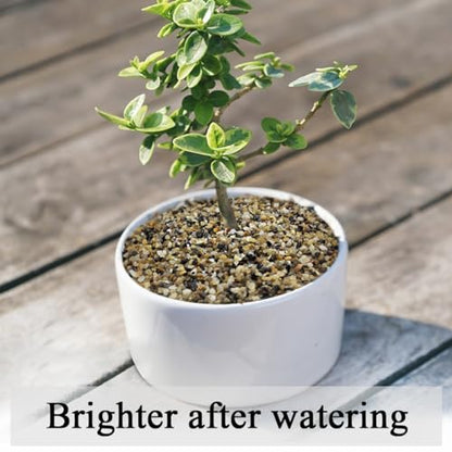 FANTIAN 20 lbs Fish Tank Sand, 1/16 Inch Aquarium Sand Gravel | Natural Coarse Sand, Decorative Pea Gravel River Rocks for Air Plants, Vase Fillers, Landscaping, Succulent Soil Cover - size: 1/16 Inch