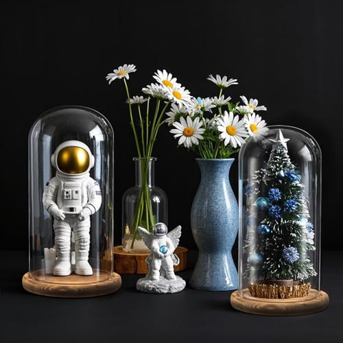 2 Pack Glass Cloche Display Dome, 10 Inch Large Decorative Glass Bell Jar, Clear Dome Showcase with Dark Brown Wooden Base, for Plants, Medals, Photos, Antique Collectibles, Mother's Day