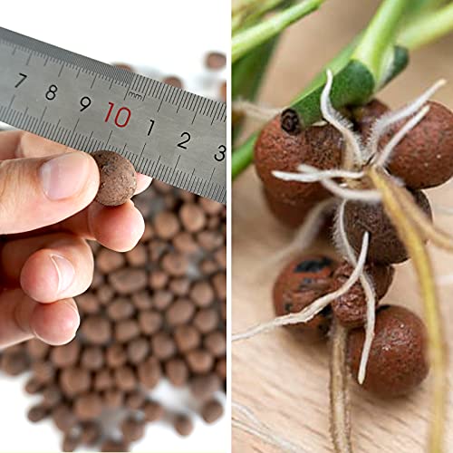 Leca Expanded Clay Pebbles 5LBS Grow Media for Indoor Plants Hydroponic Growing Gardening System Supplies … - size: 5LBS