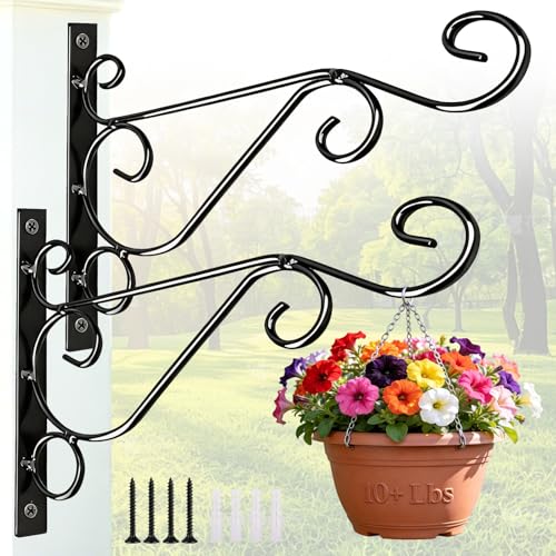 Preimum Black Plant Wall Mount Hanging Brackets Hooks Plant Basket Hanger Holder 10 Inches Indoor Outdoor Metal Brackets with Screws Garden Baskets Hanging Planters Lantern Wind Chimes(2PACK) - color: Black