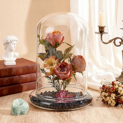PH PandaHall Glass Dome Cloche 5.5x8.46inch Clear Terrarium Planter with Base Tabletop Display Terrarium for Indoor Plants Succulents Cactus Tabletop Home Decoration - size: 5.5x8.46inch
