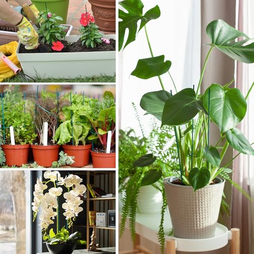 90 PCS Green Bamboo Plant Stake 16 inch Green Floral Sticks - size: 16inch