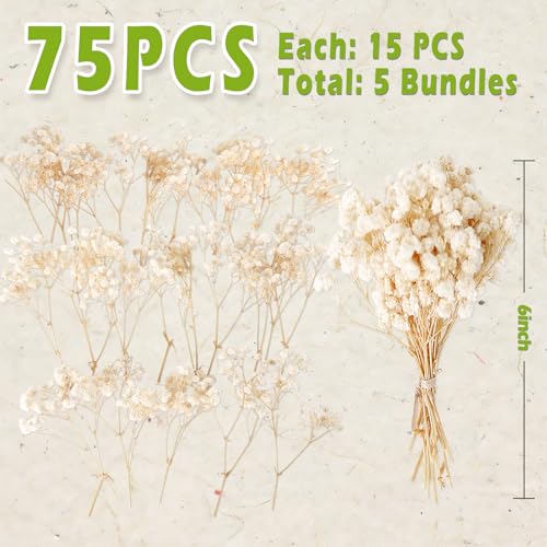 2500+ Mini Dried Babys Breath Flowers, 75 Pcs Ivory White Baby Breath Flowers, Natural Dried Gypsophila Bouquets for Rustic Wedding Decor, DIY Crafts, Gift Wrapping, Vase Arrangement - size: 6 inch
