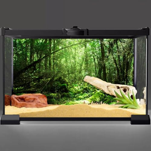 AWERT 72x24 inches Tropical Terrarium Background Rainforest Aquarium Background Green Tree Reptile Habitat Background Vinyl - size: 72x24in/180x60cm