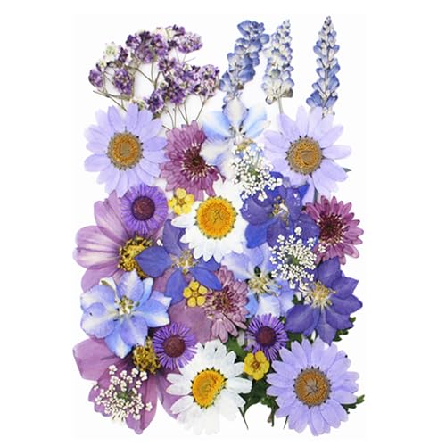 33Pcs Dried Pressed Flowers for Resin DIY Art Crafts Natural Dry Floral Daisy Epoxy Jewelry Real Flower Decor Cakes Bookmarks Phone Cases Candles Handmade Soap - color: Light Purple