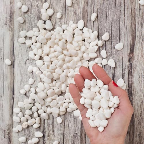 Royal Imports River Rocks, Aquarium Gravel – White 0.5"- 0.75" - 30 lbs - size: Small - 30 lbs, style: White
