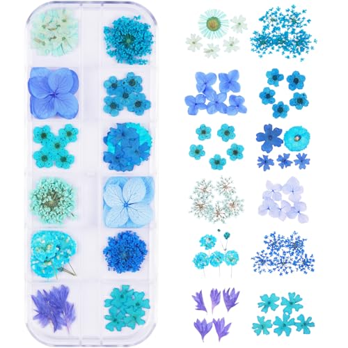 60Pcs Blue Small Dried Pressed Flowers for Crafts,Xinxinran Mini Dry Flower Kit for Nail Art,Epoxy Resin Accessories,Bookmark,Nails, Jewelry Making,Candle,Soap,Resin Molds(1 Boxs) - color: Blue 60pcs