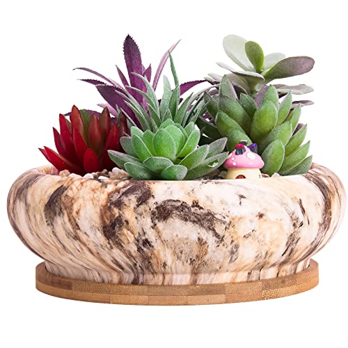 Bonsai Pots, 7.3 Inch Large Succulent Pots with Drainage, Shallow Planters - color: Brown